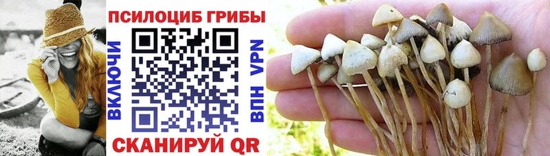 Галлюциногенные грибы Psilocybe  MEGA ССЫЛКА  Рыльск 